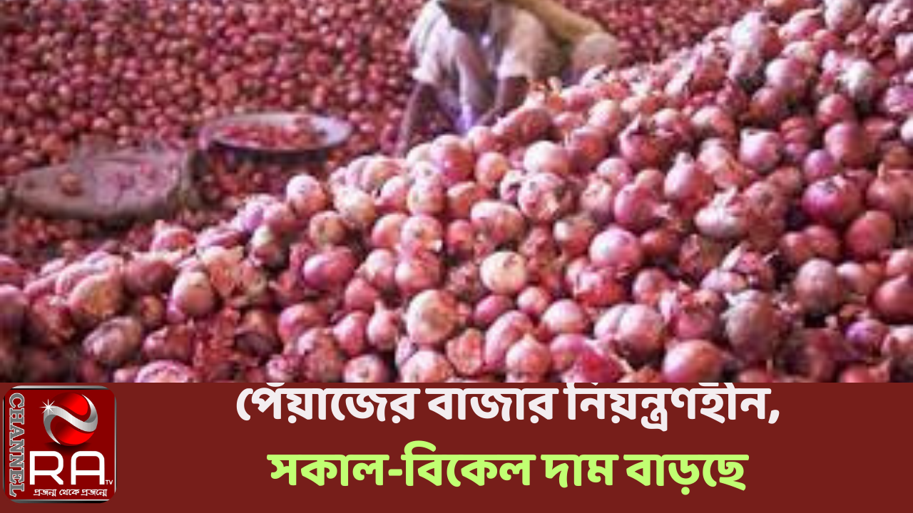 পেঁয়াজের বাজার নিয়ন্ত্রণহীন, সকাল-বিকেল দাম বাড়ছে নিজস্ব প্রতিবেদন খাতুনগঞ্জের পাইকারি বাজারে প্রতিকেজি পেঁয়াজ সকালে বিক্রি হচ্ছিল ৮৭ টাকায়; বিকেলে সেটি বেড়ে ৯০ টাকায় উন্নীত হয়। এখন বাজার পুরোটাই সামাল দিচ্ছে দেশি পেঁয়াজ। ফলে মোকাম থেকে আসা পেঁয়াজই একমাত্র সম্বল। বিকল্প না থাকায় সকাল-বিকেল দাম বাড়ছে পেঁয়াজের। আড়তদারদের শঙ্কা, এই অবস্থা অব্যাহত থাকলে কয়েক দিনের মধ্যেই আড়তেই পেঁয়াজ ১০০ টাকা ছাড়িয়ে যাবে। আর খুচরা বাজারে সেটি এরই মধ্যে ১০০ টাকা ছাড়িয়েছে। কয়েক দিনের মধ্যেই কেজি ১৩০ টাকা ছাড়াবে। ব্যবসায়ীরা অভিযোগ করছেন, সামনে কোরবানির ঈদ আসতে সময় আছে মাত্র ২৩ দিন। এই সময়ের মধ্যে আমদানির অনুমতি না দিলে ক্রেতাদের চরম ভুগতে হবে। আড়তদাররা অভিযোগ করেছেন, কোরবানি পর্যন্ত সামাল দেওয়ার পেঁয়াজ আমাদের মজুদ আছে কি না তার সঠিক পরিসংখ্যান নেই। আর মজুদ থাকলেও সেগুলো এখনই কেন নিঃশেষ করা হচ্ছে। সামনে বর্ষাকালে সব সময়ই ভারত ও বাংলাদেশ দুই দেশেই পেঁয়াজের সংকট হয়। সেই আপৎকালীন সময় এই মজুদ ব্যবহার করা যেত। এদিকে ভারত থেকে আমদানির অনুমতির অপেক্ষায় দিন গুনছেন স্থলবন্দরের আমদানিকারকরা। প্রচুর আমদানির অনুমতির (আইপি) আবেদন জমা দিয়ে রেখেছেন কৃষি বিভাগে। হিলি স্থলবন্দরের আমদানিকারক শহীদুল ইসলাম কালের কণ্ঠকে বলেন, ‘আমি সাড়ে ছয় হাজার টনের আইপি আবেদন করেছি অনেক আগেই। প্রতিদিনই দিব-দিচ্ছি করে আর অনুমতি মিলছে না। ’ তিনি বলেন, ‘আজই যদি অনুমতি দেওয়া হয় কিছু পেঁয়াজ হয়তো ভারতের বর্ডার থেকে আনা সম্ভব হবে। কিন্তু এক সঙ্গে সাড়ে ছয় হাজার টন আনতে গেলে ১০ দিন সময় লাগবে। এটা আরো দ্রুত আনা যেত যদি ভারতীয় সরবরাহকারীর সঙ্গে আমরা কমিটমেন্ট ঠিক রাখতে পারতাম। গত ১৫ দিন ধরেই তো অপেক্ষা করেন বলেই তাঁদের ঝুলিয়ে রেখেছি।’ পেঁয়াজ আমদানির অনুমতি দিয়ে থাকে কৃষি বিভাগের উদ্ভিদ সংগনিরোধ দপ্তর। সেই প্রতিষ্ঠানের প্রধান মোহাম্মদ রেজাউল করিম কালের কণ্ঠকে বলেন, ‘আদেশ পেলেই তাৎক্ষণিক অনুমোদনের প্রস্তুতি আছে।’ বাজারের পরিস্থিতি নিয়মিত পর্যবেক্ষণ করে সরকারকে প্রতিবেদন দেয় ভোক্তা অধিকার সংরক্ষণ অধিদপ্তর। প্রতিষ্ঠানটির ঢাকার এক শীর্ষ কর্মকর্তা কালের কণ্ঠকে বলেন, ‘আমাদের পক্ষ থেকে অনুমতির জন্য মন্ত্রণালয়ে প্রতিবেদন গেছে আগেই। সেটি কৃষি মন্ত্রণালয়ে বিবেচনার জন্য আছে। আজ (রবিবার) চট্টগ্রামের খাতুনগঞ্জ, শ্যামবাজার, মৌলভীবাজারে আমরা টিম পাঠিয়েছিলাম। সেখানেও দাম বেড়ে ৯০ টাকায় বিক্রি হচ্ছে। সেটিও আমরা মন্ত্রণালয়ে জানিয়েছি।’ খাতুনগঞ্জের পাইকারি বাজারে গতকাল রবিবার সকালে পেঁয়াজ বিক্রি হয়েছে ৮৫ থেকে ৮৭ টাকায়। বিকেলেই সেই পেঁয়াজ দাম বেড়ে ৯০ টাকায় বিক্রি হয়। খাতুনগঞ্জ আড়তদার কল্যাণ সমিতির সাধারণ সম্পাদক মোহাম্মদ ইদ্রিস কালের কণ্ঠকে বলেন, ‘সকালে ৯০ টাকা দাম দিলেও সেটি বিক্রি হয়নি। কিন্তু বিকেলেই ৯০ টাকা দরেই বিক্রি হয়। কারণ দেশের বিভিন্ন মোকামে সকালে পেঁয়াজের দাম ছিল মণ তিন হাজার ৪০০ থেকে তিন হাজার ৫০০ টাকা। বিকেলেই সেটি বেড়ে চার হাজার টাকায় বিক্রি হয়।’ চ্যানেল আর এ নিউজ ডেস্ক