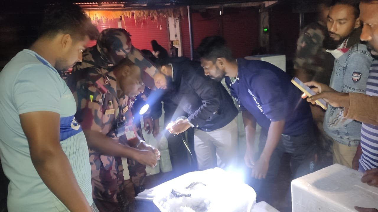 সাতক্ষীরা ব্যাটালিয়নের বিশেষ টাক্সফোর্স অভিযানে বিপুল পরিমাণ বাগদা ও গলদা চিংড়ি মাছসহ আটক ১