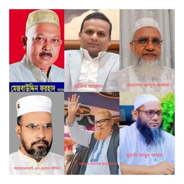 ত্রয়োদশ সংসদ নির্বাচন: বরিশাল -৪