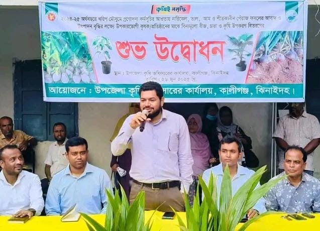 "ঝিনাইদহে কৃষকের হাতে নারিকেল গাছের স্বপ্ন"