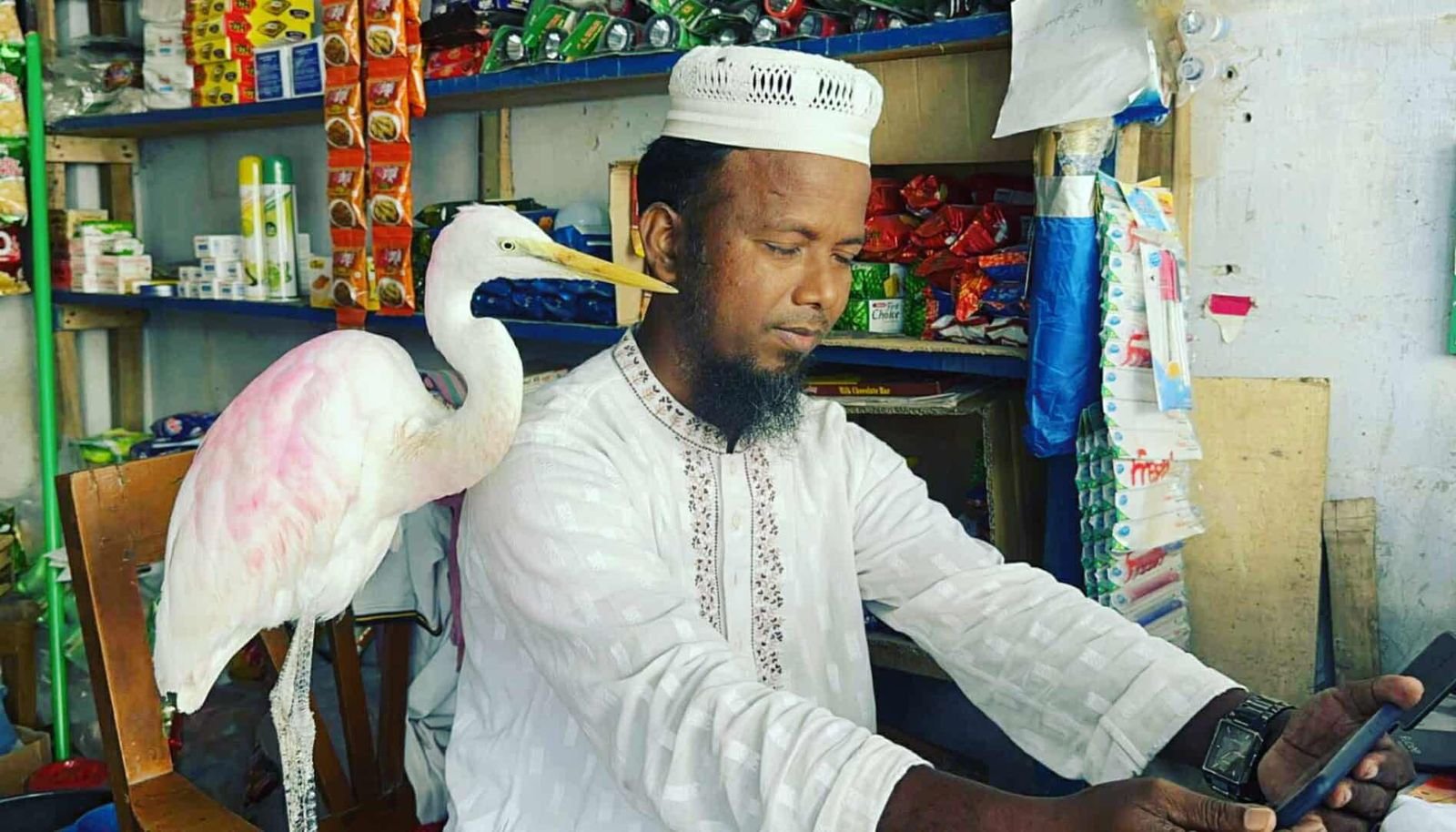 পটুয়াখালীর বাউফলে বকপাখি আর মানুষের বন্ধুত্বের অনন্য দৃশ্য