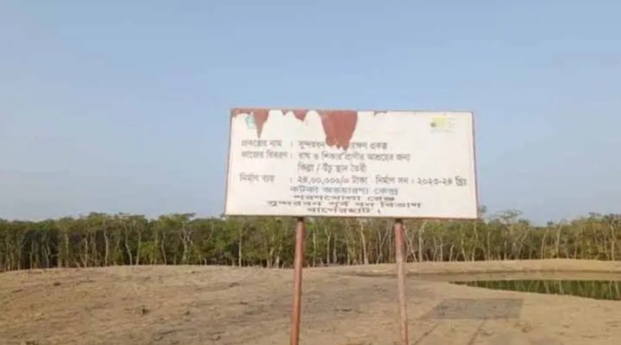 প্রতিবার ঘূর্ণিঝড় এলেই সুন্দরবনের আকাশ কালো হয়, নদীর পানি ফুলে ওঠে, আর নীরবে মৃত্যুর মুখে পড়ে বনের নিরীহ বাসিন্দারা— বাঘ, হরিণ, বানর আর অগণিত বন্যপ্রাণী। কিন্তু এবার গল্পটা একটু আলাদা।