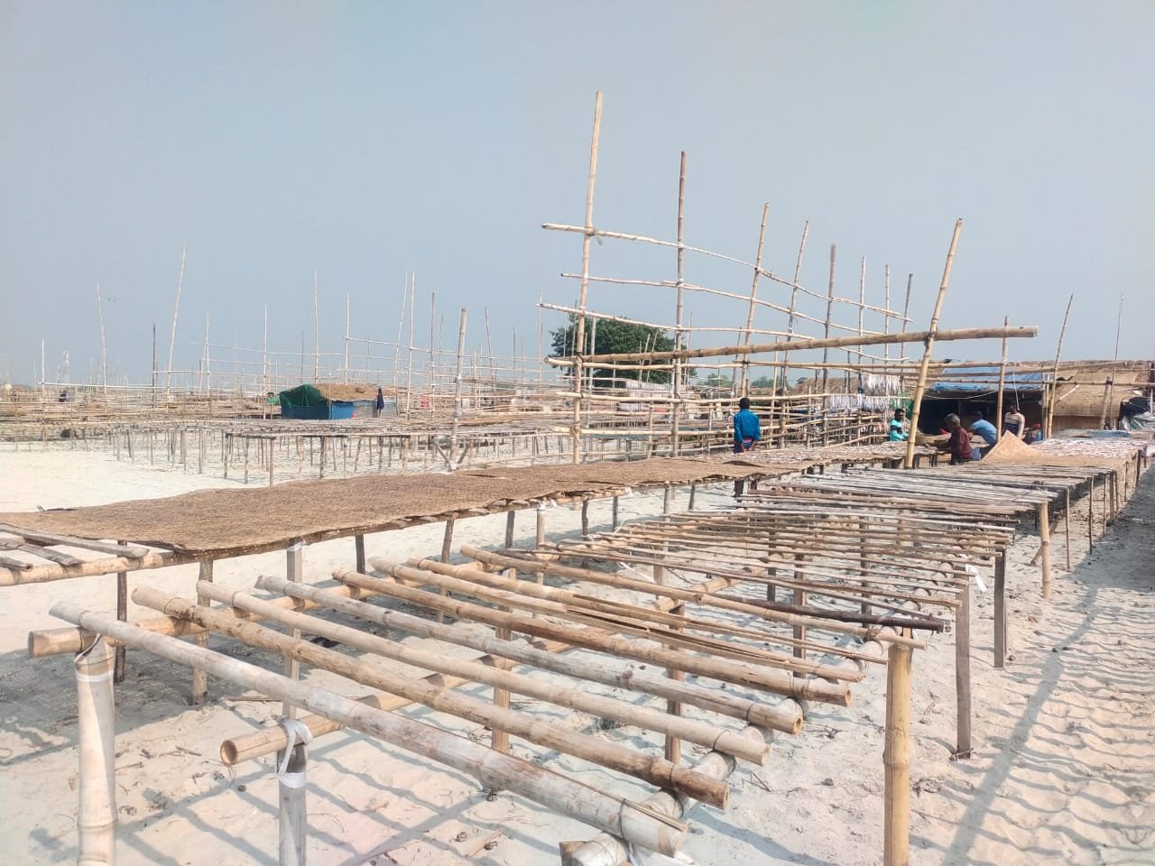 সুন্দরবনে বনদস্যুদের দৌরাত্ম্যে বিপর্যস্ত শুঁটকি পল্লী, দুশ্চিন্তায় জেলেরা