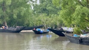 সুন্দরবনের শেলার চরে দুর্ধর্ষ হানা