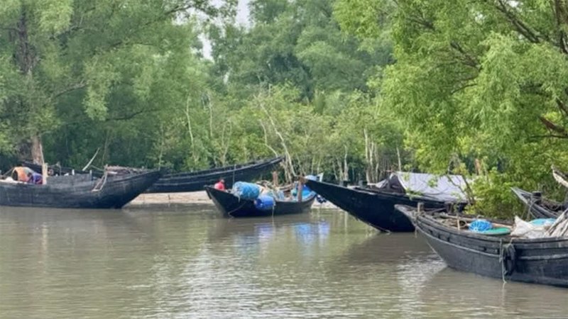 সুন্দরবনের পূর্ব বনবিভাগের শরণখোলা রেঞ্জের শেলার চরে বনদস্যু করিম শরীফ বাহিনীর এক দুর্ধর্ষ হামলার ঘটনা ঘটেছে। শুক্রবার (১৩ ফেব্রুয়ারি) গভীর রাতে অস্ত্রধারী দস্যুরা শুঁটকিপল্লী থেকে ৬ জেলেকে অপহরণ করে নিয়ে যায়। এই ঘটনার পর থেকে সুন্দরবনের জেলে ও বনজীবীদের মধ্যে চরম আতঙ্ক বিরাজ করছে।