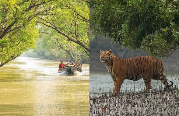 আসন্ন ঈদুল ফিতর উপলক্ষে বিশ্বের বৃহত্তম ম্যানগ্রোভ বন সুন্দরবন-এ জারি করা হয়েছে সর্বোচ্চ সতর্কতা। বনজ সম্পদ ও বন্যপ্রাণী সুরক্ষায় বন বিভাগের কর্মকর্তা-কর্মচারীদের সব ধরনের ছুটি বাতিল করা হয়েছে।