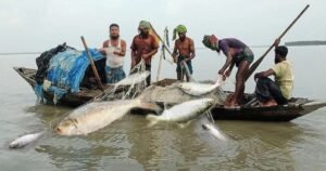 বঙ্গোপসাগরে ৫৮ দিন মাছ ধরা নিষিদ্ধ