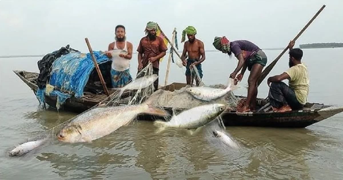 সরকারি সিদ্ধান্ত অনুযায়ী, ১৫ এপ্রিল থেকে ১১ জুন পর্যন্ত বঙ্গোপসাগর ও উপকূলীয় এলাকায় সব ধরনের মাছ ধরা নিষিদ্ধ। ইলিশের উৎপাদন বৃদ্ধি ও জাটকা সংরক্ষণের জন্য এই পদক্ষেপ নেওয়া হয়েছে। ৭ থেকে ১৩ এপ্রিল ‘জাটকা সংরক্ষণ সপ্তাহ-২০২৬’ পালিত হবে।